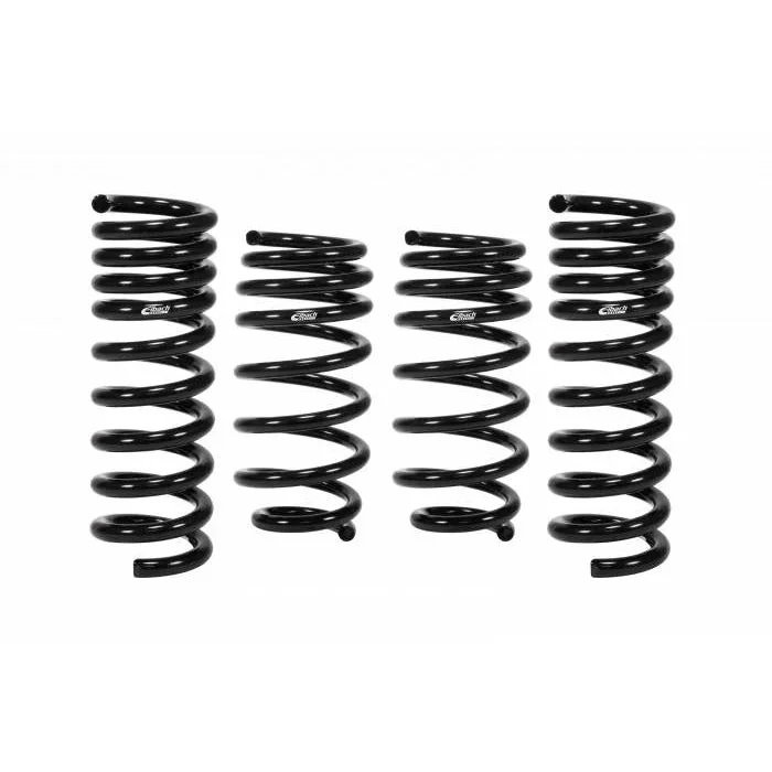 fasthemis13608841