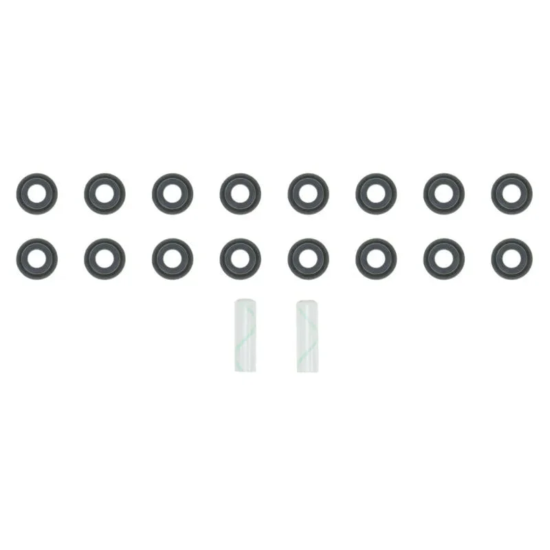 fasthemis33900420