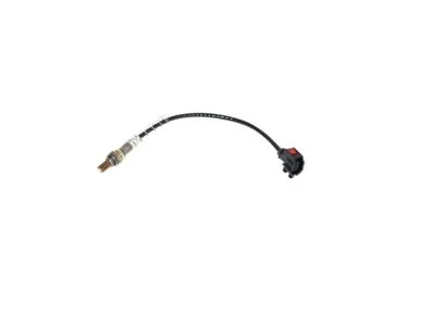 moparpartsgiant1-4066072